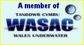 Welsh Association of Sub Aqua Clubs